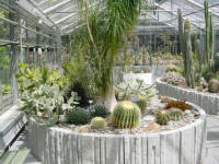 Бернский ботанический сад